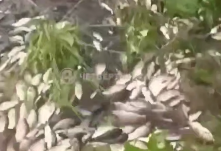 � ������������ ������� ���� ������, � ��������� � ������� ������� - ��������� ����