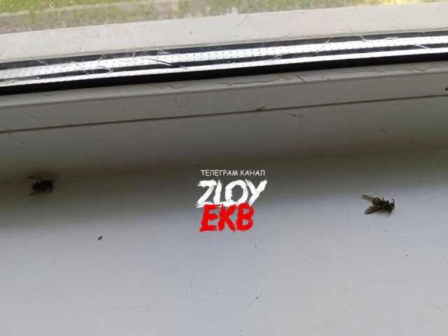 ������� �� ��������� �������� � ��������� ������ ������������� - ��������� ����