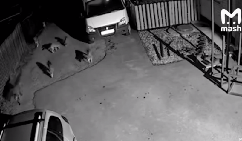 �������� ����� ������ �� ����� - ��� ������ ������� ������� - ��������� ����