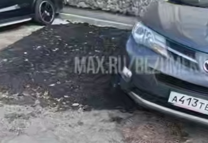 �������� ��� �����������: ������ ��� �� �������� � ������ - ��������� ����