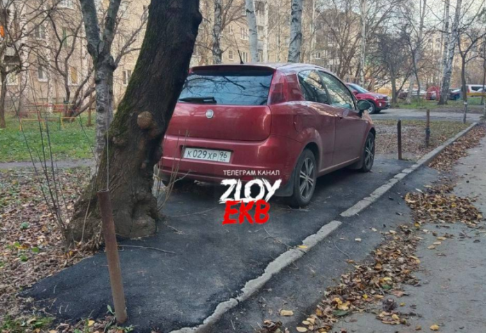 ����������� ������ ����� � ���� �� �������� ��������� �������� ������� - ��������� ����