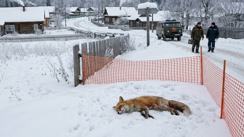 � ���������� ������ ������������� ������ ��������� - ��������� ����