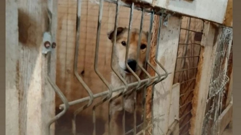 � ��������� ��������� �����: ������ ��� ����� ����� ������������� - ��������� ����