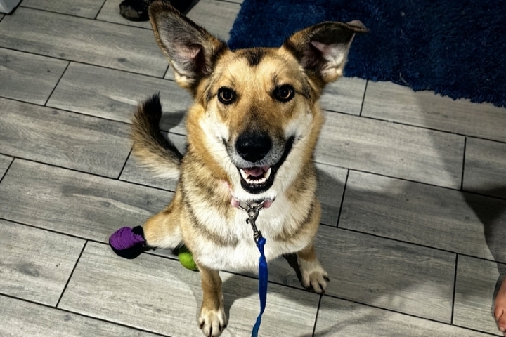 � ������������� ������ ����� ���� ��� ����� ��������� - ��������� ����