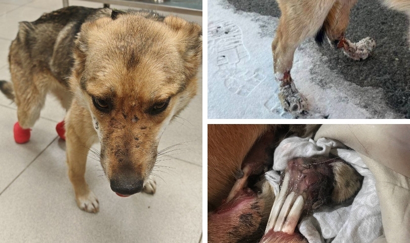 ������ ����� �� ������� ������ ����� ��������� ��� ���� ������� ������ - ��������� ����