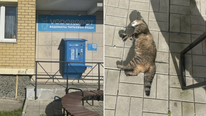 ���� ��������� �� ���� � ������� ����� - ��������� ����