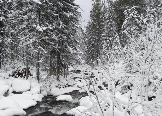 � �������� ���� ������ �������� ������� �� ���������� - ��������� ����