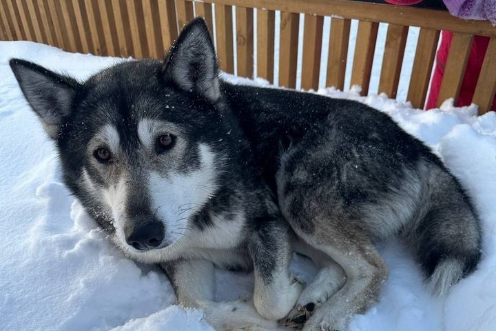 �� ����� � ����������� ����� ������������ ���: ���� ������ - ��������� ����