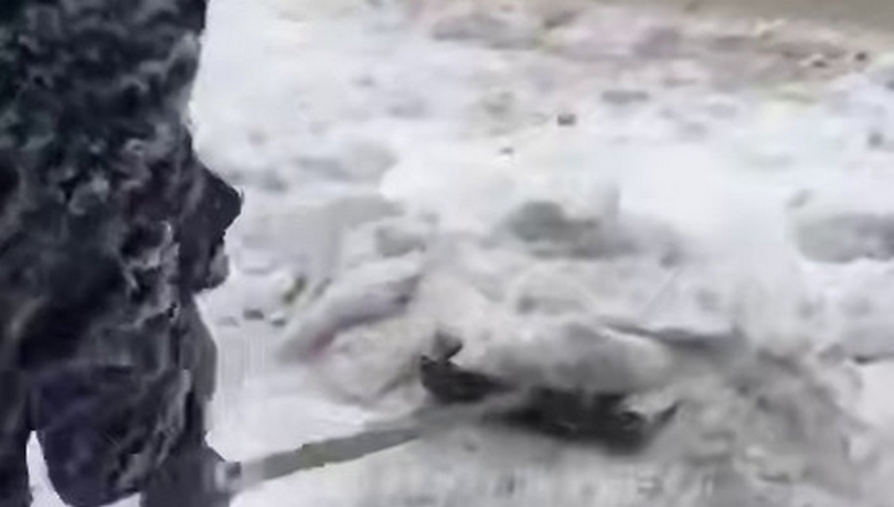 ������ ������������� ���� ������ �������� ����� ������� ������������ ����� - ��������� ����