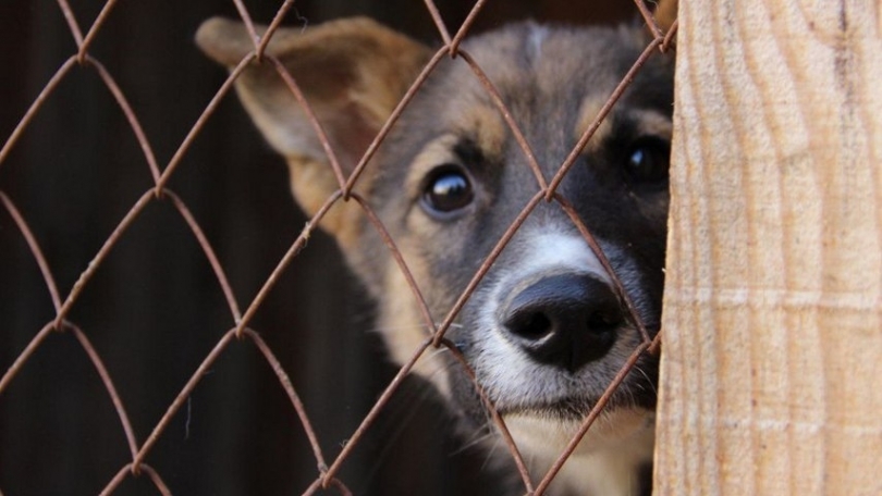 ����� � ���� �������������� ��������� � ����� ��� ������ � ������ ������ - ��������� ����