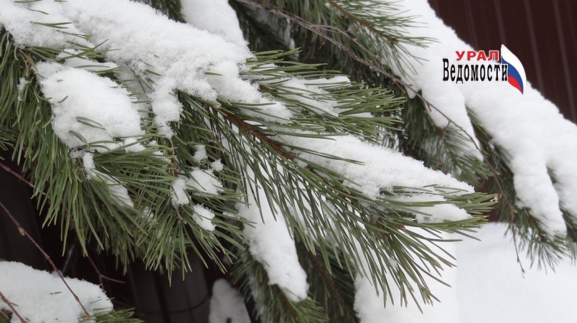 ������������� ����������, ��� �� ��������� �� ���������� ��� ������� ���������� ���� - ��������� ����