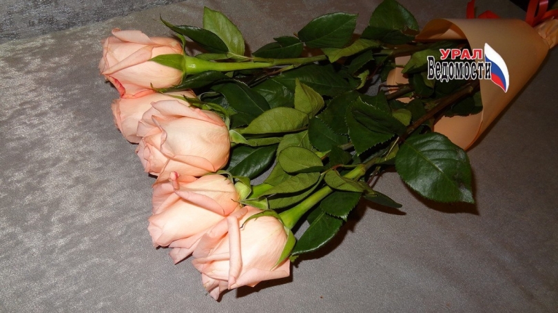 � ���������� 8 ����� ��������� ���������� ����� ����� ������ - ��������� ����