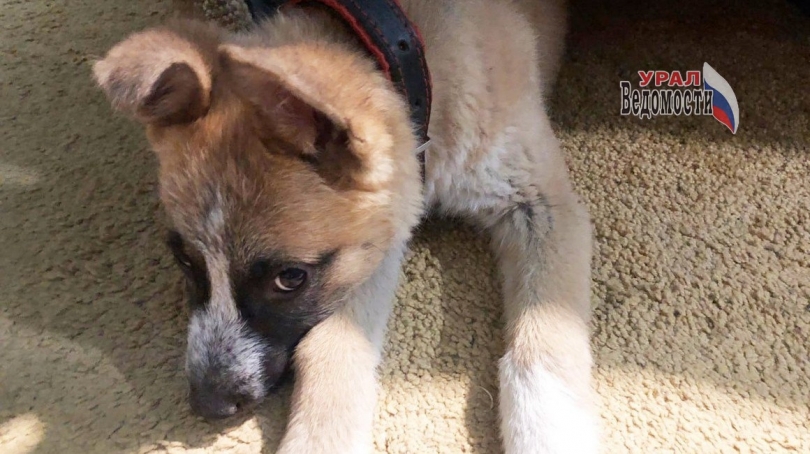 ������ ������ ������� ����� �� Clever Park � ������������� - ��������� ����