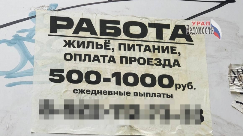 �����������: ����� ����������� ��� ������ ��� �����������? - ��������� ����