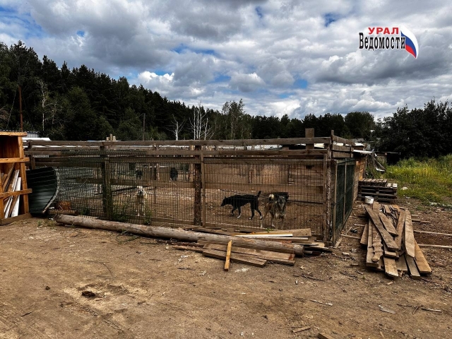 "����� ����" ���������� ��������� ������ �� ����������� �� ������ ��������� �������� - ��������� ����