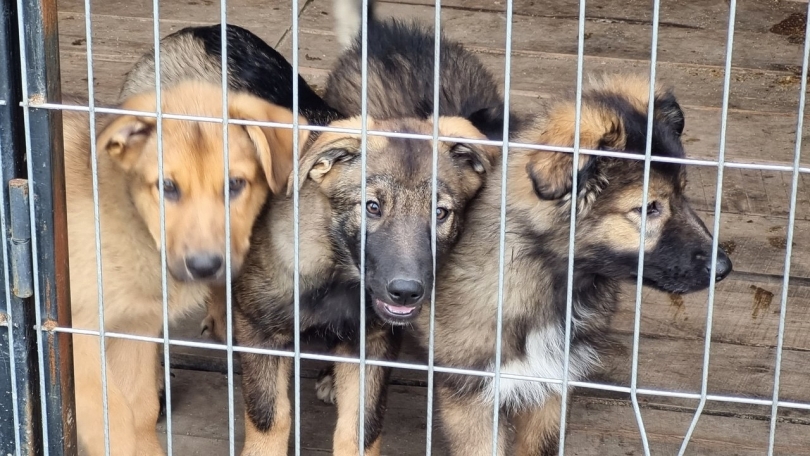 �������� ���� ������� ��������� �������� ����������������� ������������ - ��������� ����