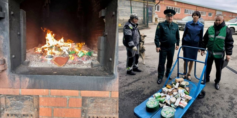 Сыры-нелегалы: в Челябинске уничтожили 16 кг санкционной продукции - ВЕДОМОСТИ Урал - Новости Екатеринбурга и Свердловской области сегодня
