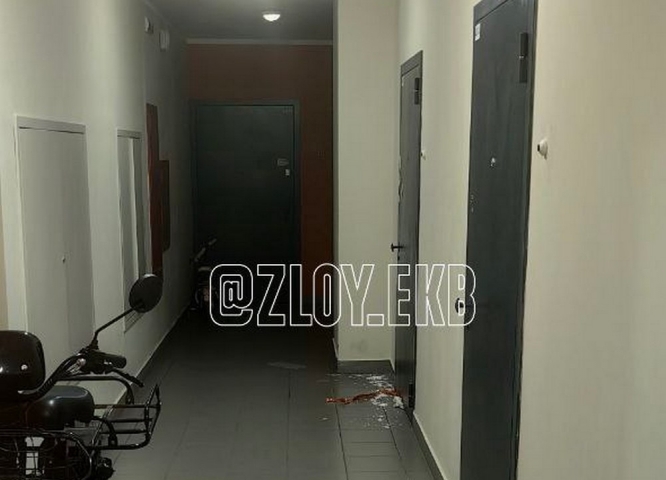 Жители екатеринбургской многоэтажки задыхаются от трупного запаха после обнаружения тела в квартире - Новости Свердловской области — последние события в Екатеринбурге и области