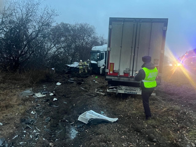  ������� ������ ������������ �������� �� ������ ������������-������ - ��������� ����