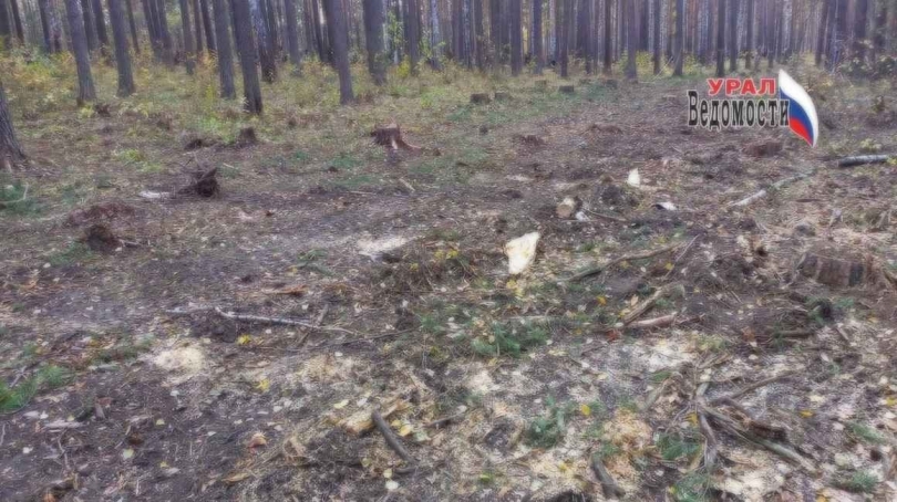 ��� � ����������: ��������� �������� � ��������� ������� ������ - ��������� ����