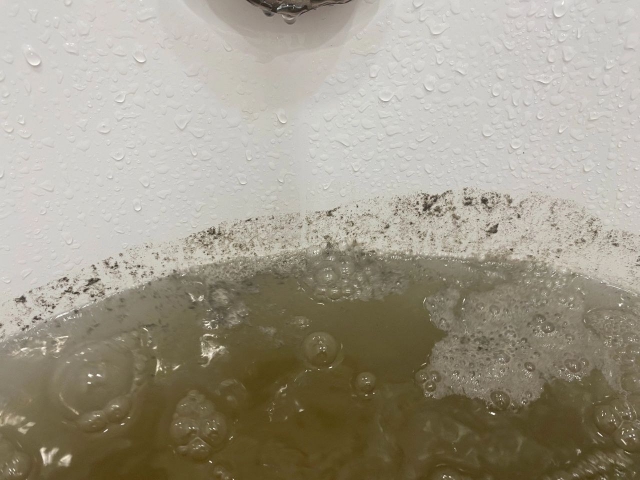 "� ����" �� ������� ���� �� ������ �� "������" ���������� � ������ ���� - ��������� ����