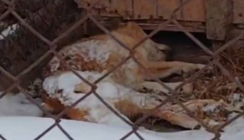 ��������� ���������� ����� �������� � ������ �������������� � ����� - ��������� ����