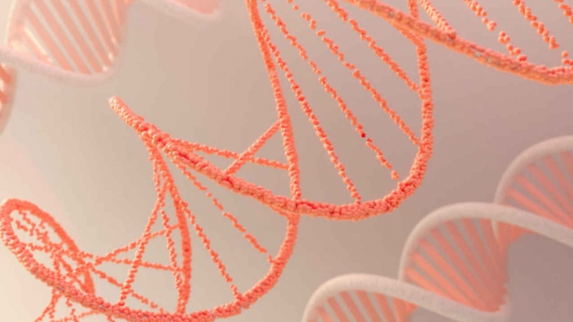 ������������ ����� ��� ����������� ������������ ������ ����������� - ��������� ����