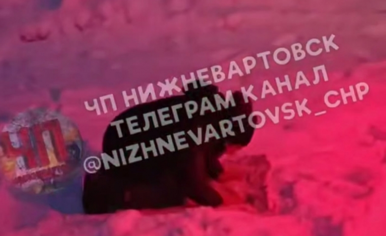 ��������������� �������� �� ������ ���������� � ������� � ����� ��-�� ������� - ��������� ����