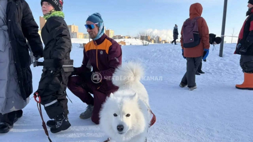 � ������������� ������ ������ ����� � �������� - ��������� - ��������� ����