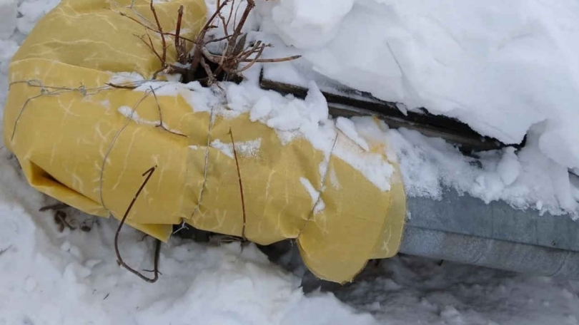 � ����� ����������� ��� ���� ���������, ��������� ���������� �� �������� - ��������� ����