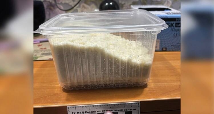 ���������������� ����������� ������� �������� �������� "����������" - ��������� ����