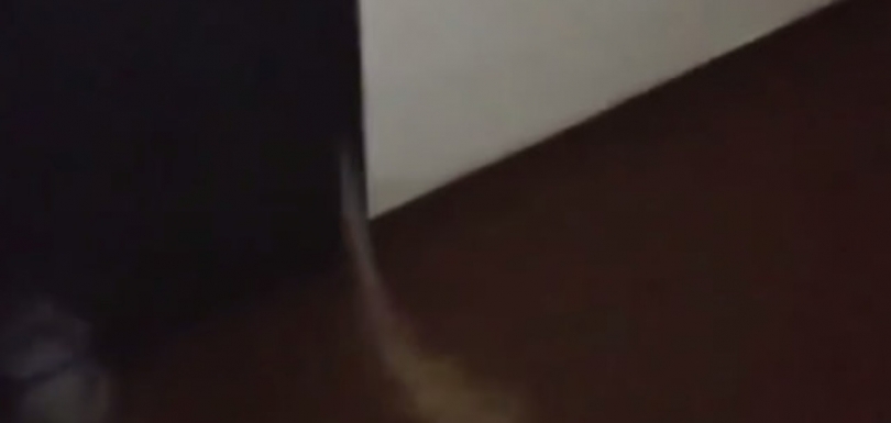 ����� � ���� �� ��������� ������ � �������������: �� �� ��������� ����� - ��������� ����