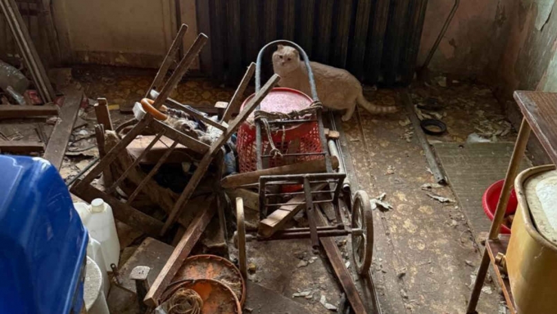 � ������������� �� �������� � �������������� ������ 10 ����� - ��������� ����