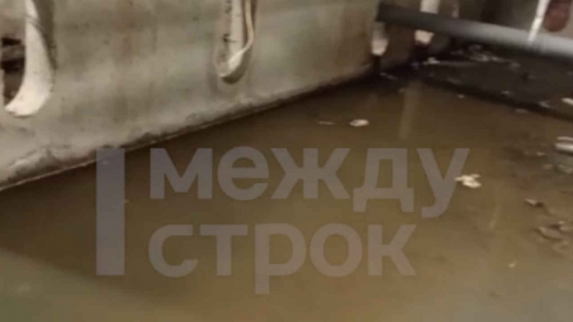 � ������ ������ ������ ����������� ����� ��������� ��������� ��� - ��������� ����