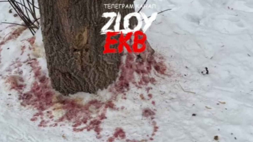 ���������� ������� �� �� ����� �� ��������� � ������������� - ��������� ����