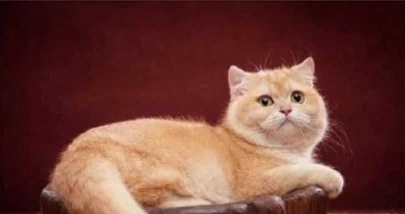 � ������������� ������� ����� �� 200 ����� ������ - ��������� ����