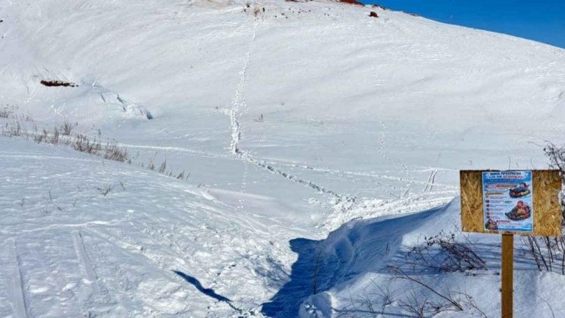 � ������������ ������� ������� ���� ���-�������� "��������" - ��������� ����