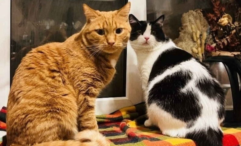 ����� ������� ������ ����� ����� ��� � ������������� - ��������� ����