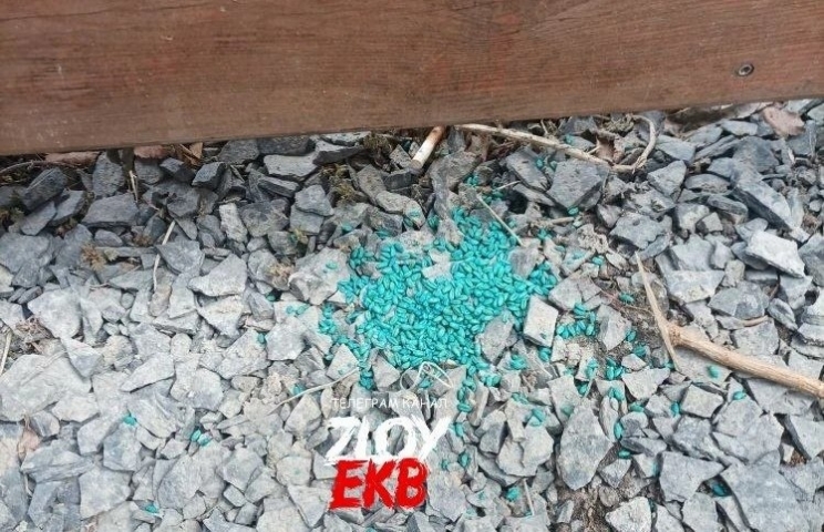 ������ � ��������� � ������������� ����� ������ ����� �������� �������� - ��������� ����