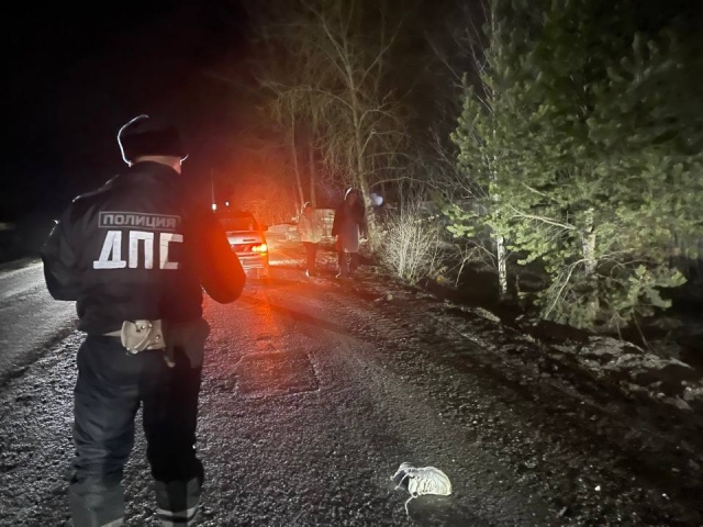 ����������� ��� � ���������������: �������� ��� �������� ���� �������� - ��������� ����