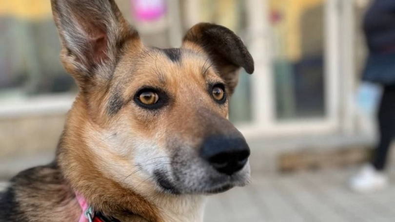 ����� �� ������� ������, ���������� ��������� ���, ���� ������ �������� - ��������� ����