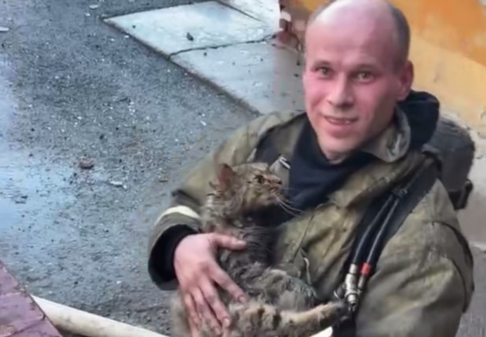 ��������� ������� ����, ������������� ������� ����� ��� ������ � ������ - ��������� ����