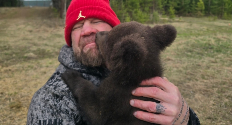 ����� ������ �������� �������� � ���������������� ������ � ������� - ��������� ����