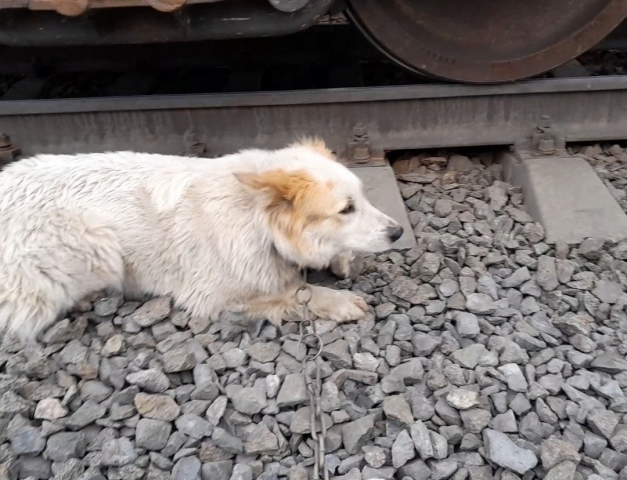 ������������ ����������� ������ ������ ������, ����������� � �� ����� - ��������� ����