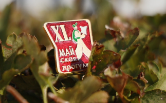 ���������� ����������� �� �������� �������� � ������������� - ��������� ����