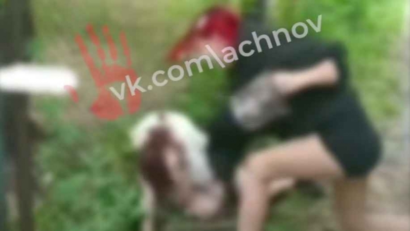 Школьница из Южноуральска шокировала горожан жестоким избиением сверстницы - ВЕДОМОСТИ Урал - Новости Екатеринбурга и Свердловской области сегодня