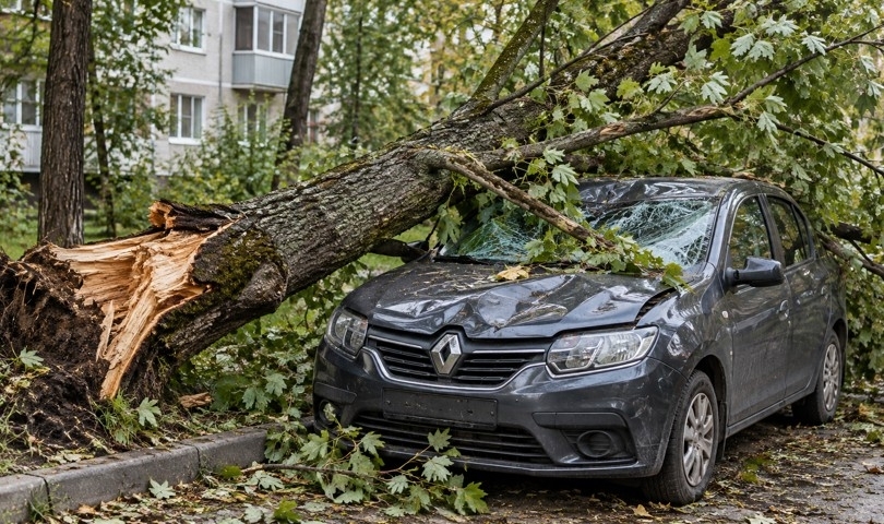 ������� ������ �� Renault �������� ������� ������������� � 164 ������ ������ - ��������� ����