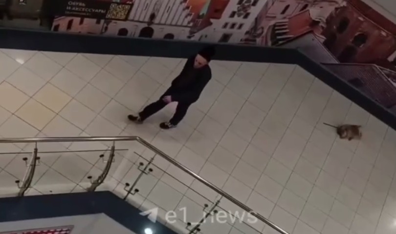 ������� ����� ������ �� ������� �� �� ����� ���� � ������������� - ��������� ����