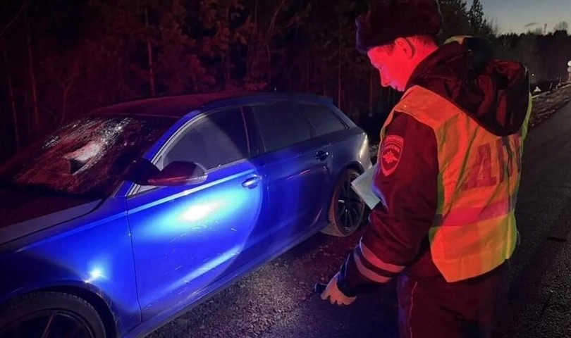��� ���� ��������� ������������ ������ Audi �� ���������� ��� ���������� - ��������� ����