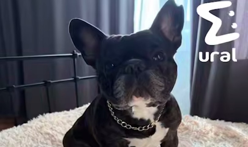 � ������������� ������� ������ �� 150 ����� ������ ����������� ������� ������� - ��������� ����